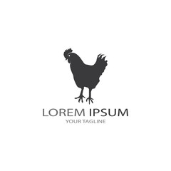 Fototapeta na wymiar Chicken logo vector illustration template