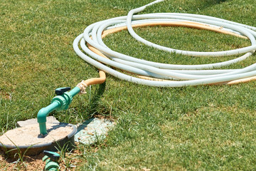 watering hose twisted on the green grass in summer day