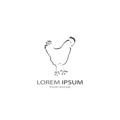 Fototapeta na wymiar Chicken logo vector illustration template
