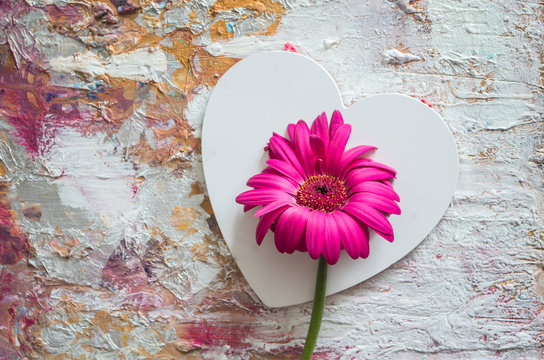 Pink gerbera on a background of white hearts. Valentine day concept.