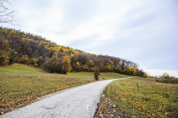 Fototapeta na wymiar Rural dirt road nature landscape