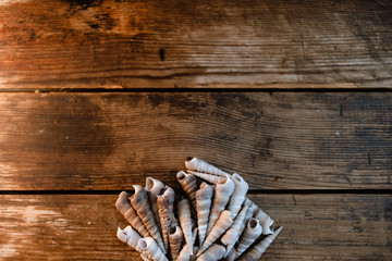 A handful of ocean cockleshells on a rustic wooden background