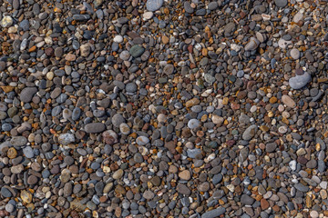 pebbles on the beach