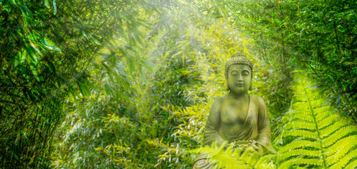 buddha im bambuswald