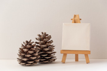 pine cone and fir branch on white background