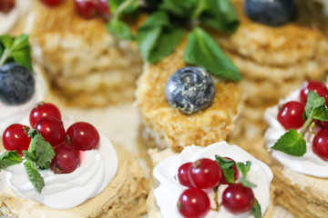 Mini cakes decorated with whipped cream and fresh red currant. Sweet tasty snacks at the party. Food photography. Lots of pastry pieces on the plate. Catering service