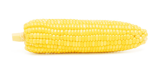 sweet corn isolated on white background with clipping path
