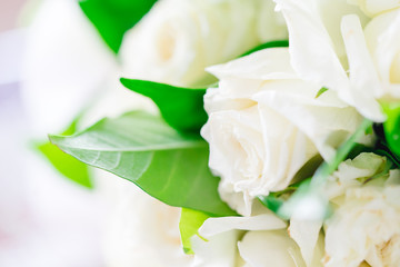 White flower rose background.white petals texture.White flower and Valentines day concept
