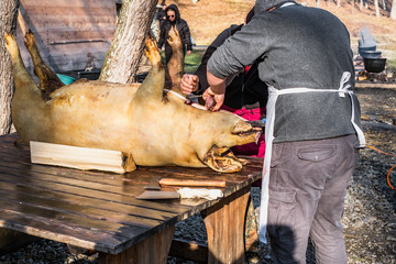 Butchers slaughtering a pig