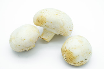 Champignon fresh uncooked mushrooms isolated on white background