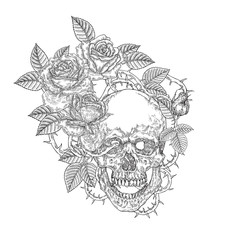 Floral skull vector illustration. Human skull and rose flowers hand drawn. Vintage engraving. Black and white style.