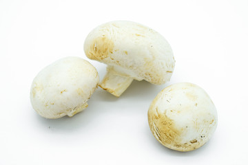 Champignon mushrooms isolated on white background