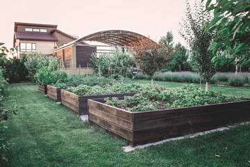 Green garden outside of modern vacation house, creation a home and home feeling