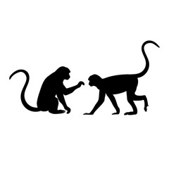 Silhouette of two Monkey. Monkey family