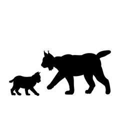 Silhouette of Lynx and young little Lynx