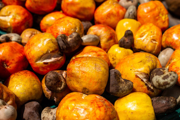 Cashews with its fruit. Vegetable food Dried fruits