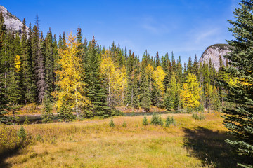  Autumn day in the Canadian Rockies