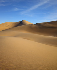 Fototapeta na wymiar The soft curves of yellow sand dunes