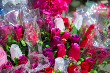 many different fake colors on the market