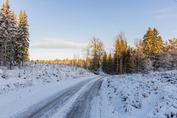 Obraz premium Gorgeous view of winter nature landscape. Country road in snow forest. Beautiful winter background.