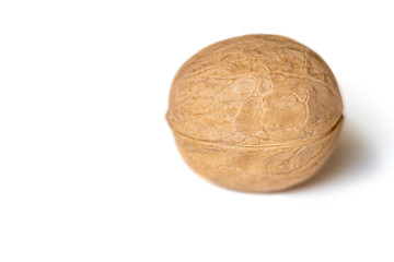 One dried walnut in a shell closeup isolated on a white background