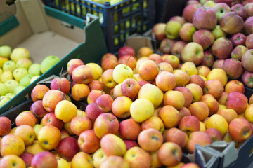 different fruits in the supermarket