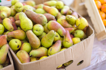 different fruits in the supermarket