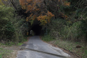 トンネル