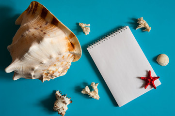 Travel and vacation concept. Notepad, seashells, stars and coral twigs on a light blue background. Free space for your text.