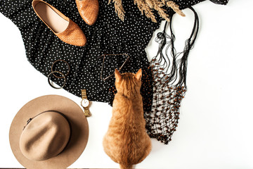 Flat lay fashion collage. Women modern clothes, accessories, cute ginger kitten, reeds. Shoes, dress with polka dot, watch, hat, bracelet, sunglasses. Blog, social media, magazine concept. Top view.