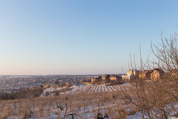 Beautiful winter vineyards