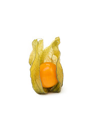 Healthy Cape Gooseberry (Physalis) isolated on white background