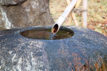 つくばい　手水鉢　風景