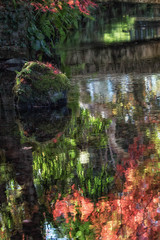 滋賀県米原市醒ヶ井の地蔵川と紅葉の風景