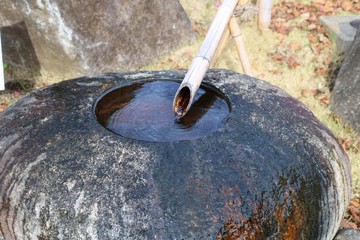 つくばい　手水鉢　風景