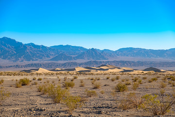 Fototapeta na wymiar Mesquite Flat Sand Dunes, Death Valley National Park, California, USA