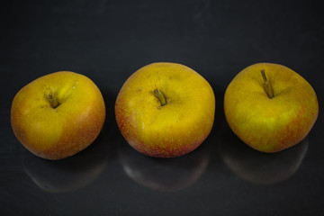 boskop apples on black background