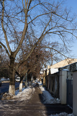 Fototapeta na wymiar Beautiful winter street