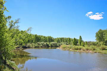 Fototapeta na wymiar Summer landscape - A calm flat river among fields and birch groves under a blue sky. Cloudless summer weather.