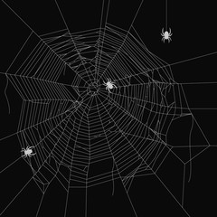 Cobweb vector decorative element. Crawling spider. Spiderweb object on isolated background.