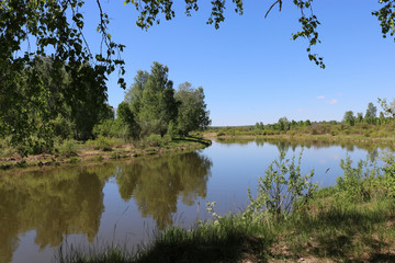 Summer landscape - A calm flat river among fields and birch groves under a blue sky. Cloudless summer weather.