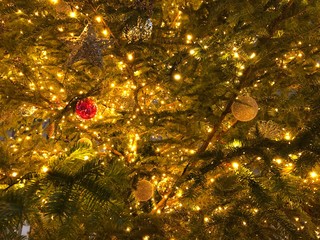 Obraz na płótnie Canvas christmas tree