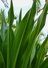 Well manicured landscaped gardens