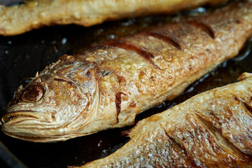 Cooking grilled fish on frying pan 