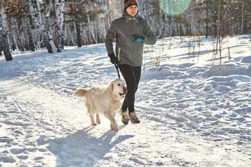 Labrador retriever dog for a walk with its owner man in the winter outdoors doing jogging sport.