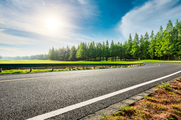 Asphalt road and green forest with grass on a sunny day.