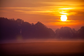 Zachód słońca jezioro drzewa mgła © Dariusz