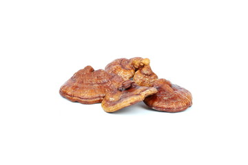 Dried ganoderma on white background, Reishi (lingzhi) mushroom