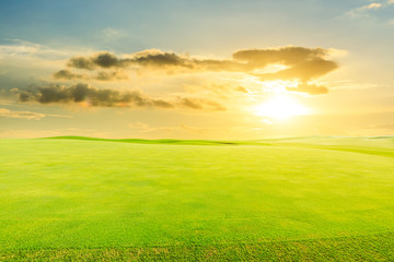 Green grass and blue sky on a sunny day.