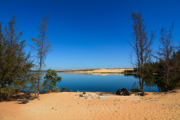 Amazing shape on Vietnamese sand hill